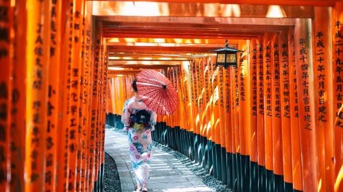 Kyoto + Nara + Uji One-Day Tour: Gion Garden/Yasaka Shrine/Kinshi Market [Group of 9] Day Tours