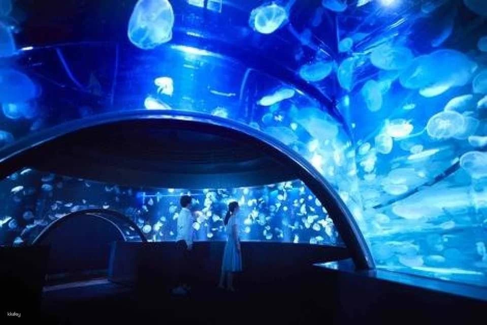 Kyoto Railway Museum Advance Ticket｜Instant Confirmation｜Japan