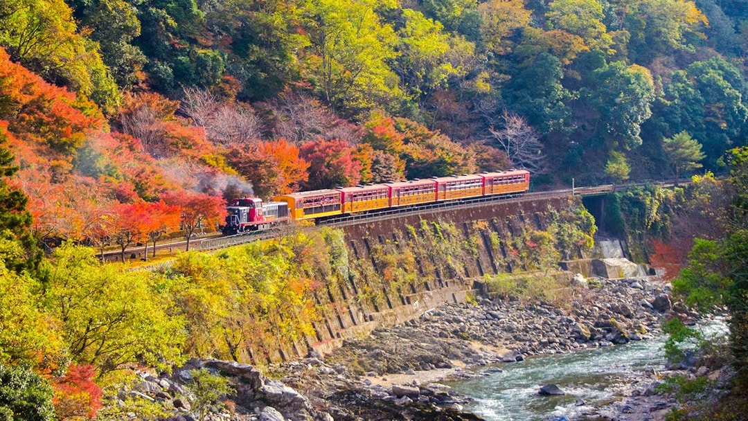 Sagano Romantic Train passing through autumn foliage in Kyoto during day tour from Osaka Namba.