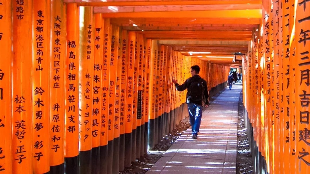 Kyoto Sagano Romantic Train Day Tour from Osaka Namba