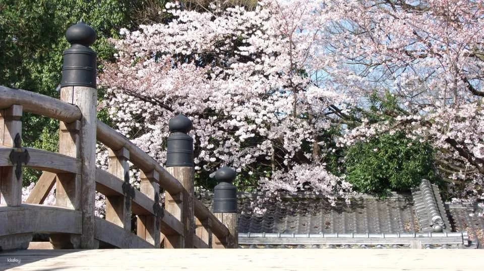 Kyoto | UZUMASA KYOTO VILLAGE Admission Ticket