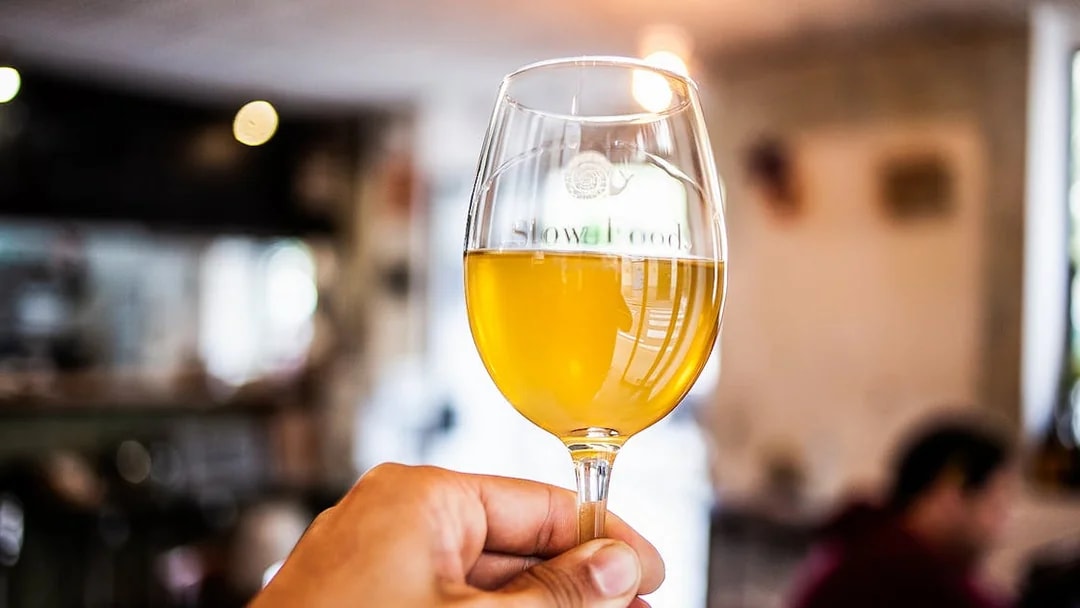 Hand holding a glass of cider during a food tour in La Barceloneta.