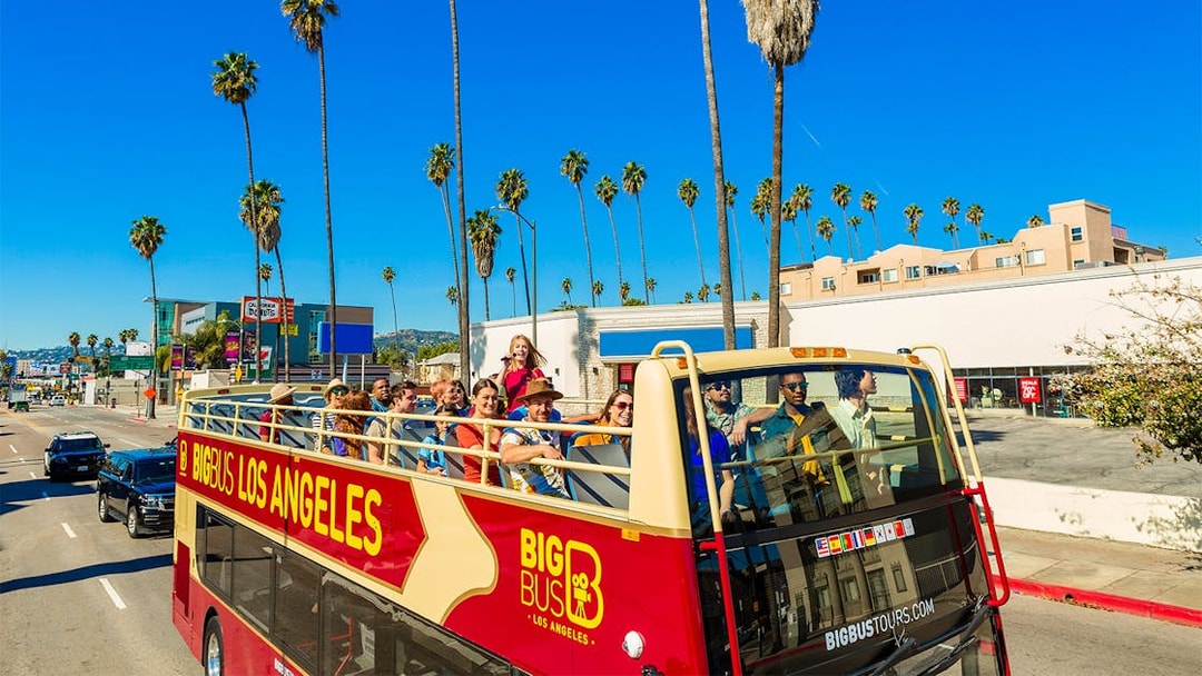 Open-top tour bus with passengers on a sunny street in Los Angeles, lined with palm trees.