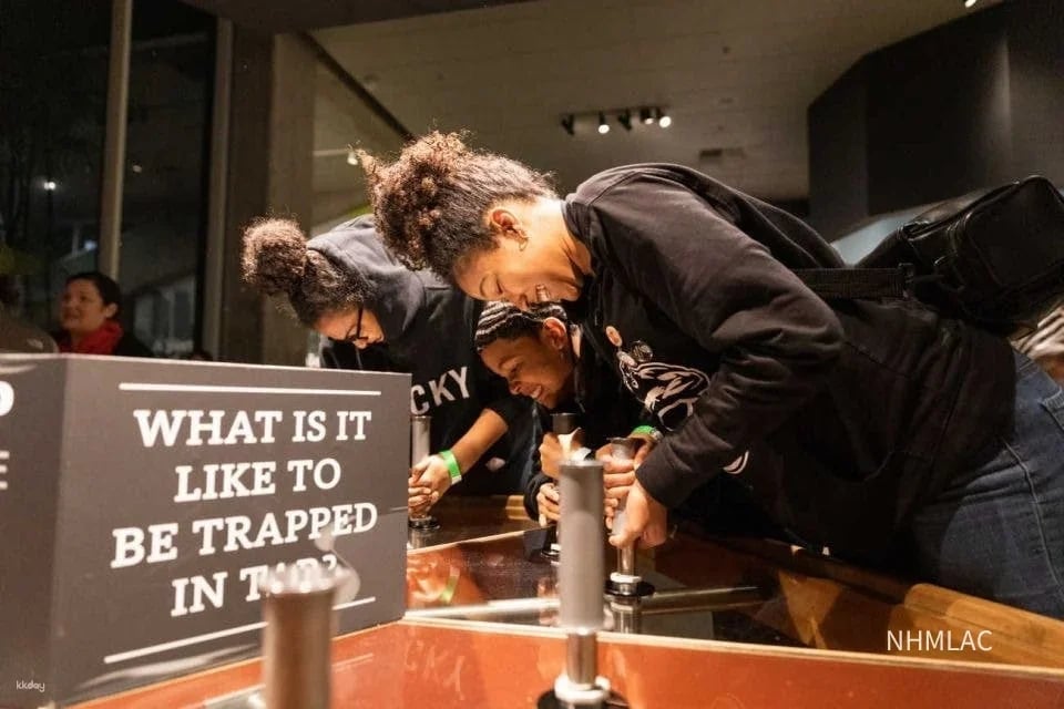 La Brea Tar Pits Museum Ticket|Los Angeles