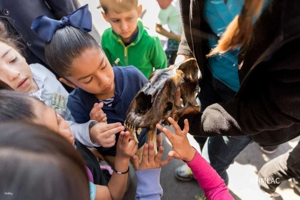 La Brea Tar Pits Museum Ticket|Los Angeles