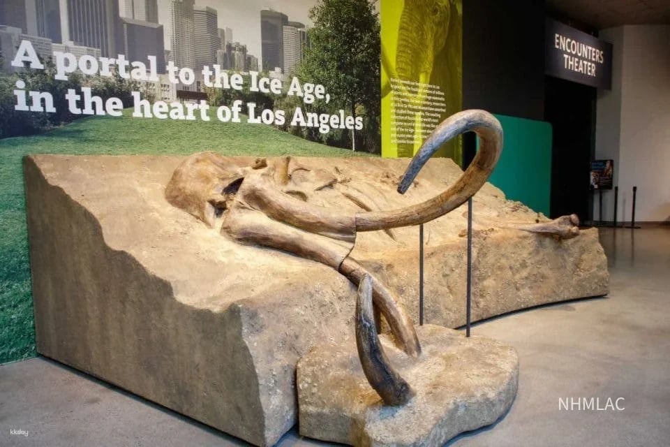 La Brea Tar Pits Museum Ticket|Los Angeles