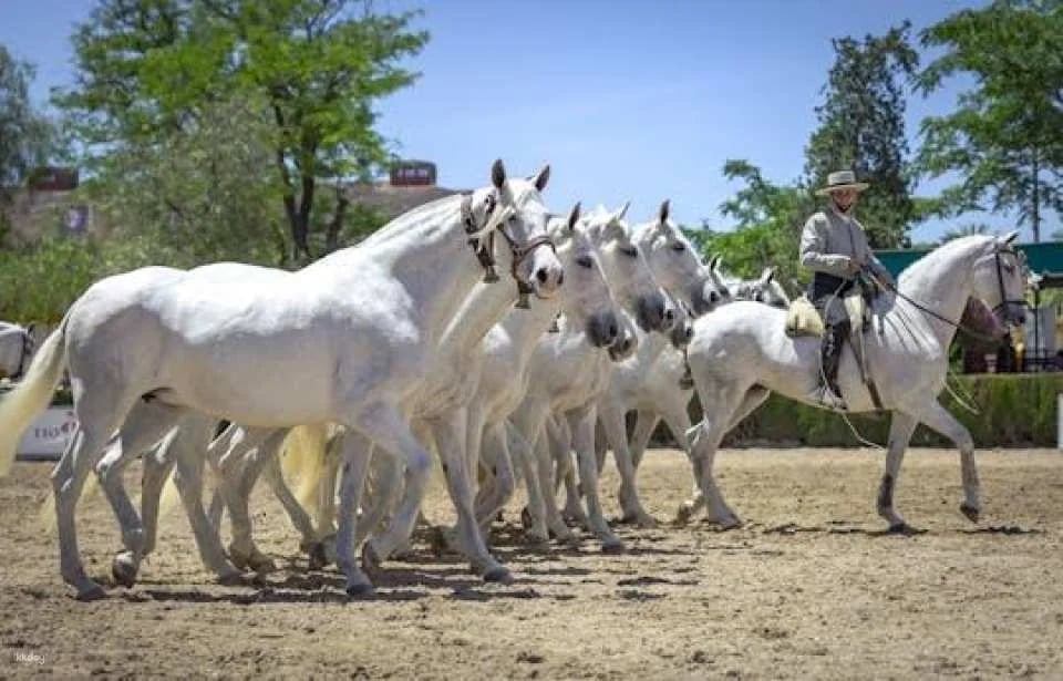 La Cartuja Stud Farm Ticket