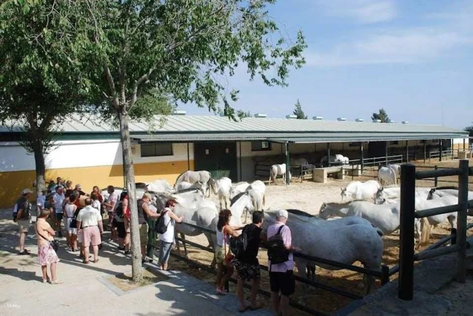 La Cartuja Stud Farm Ticket