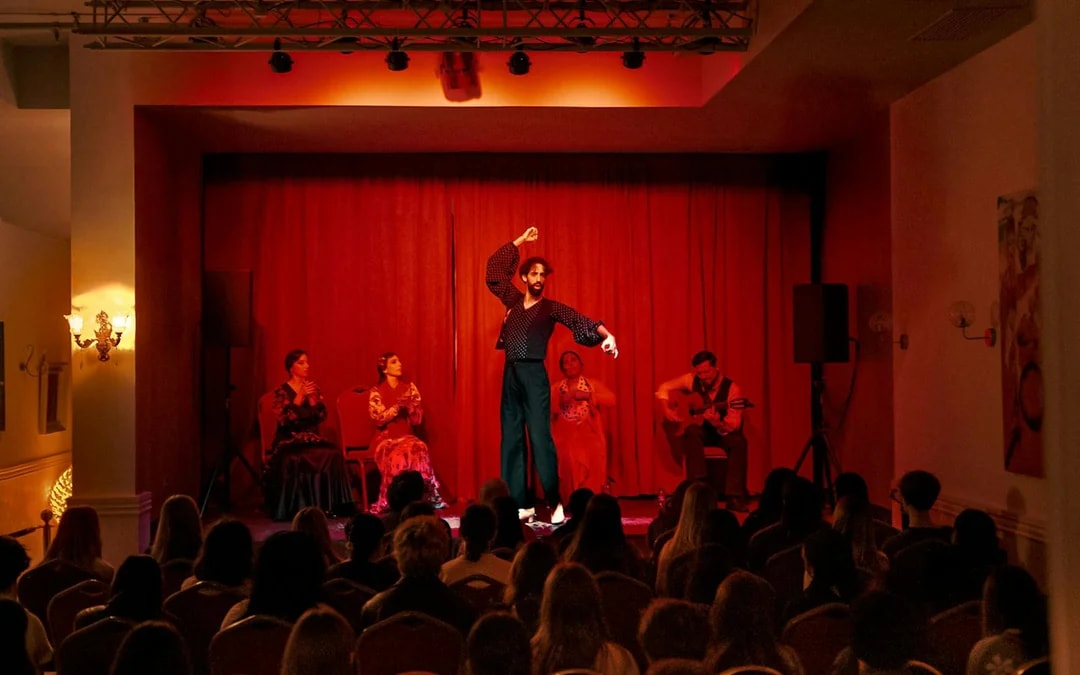 Laietana - Flamenco Show Image 8