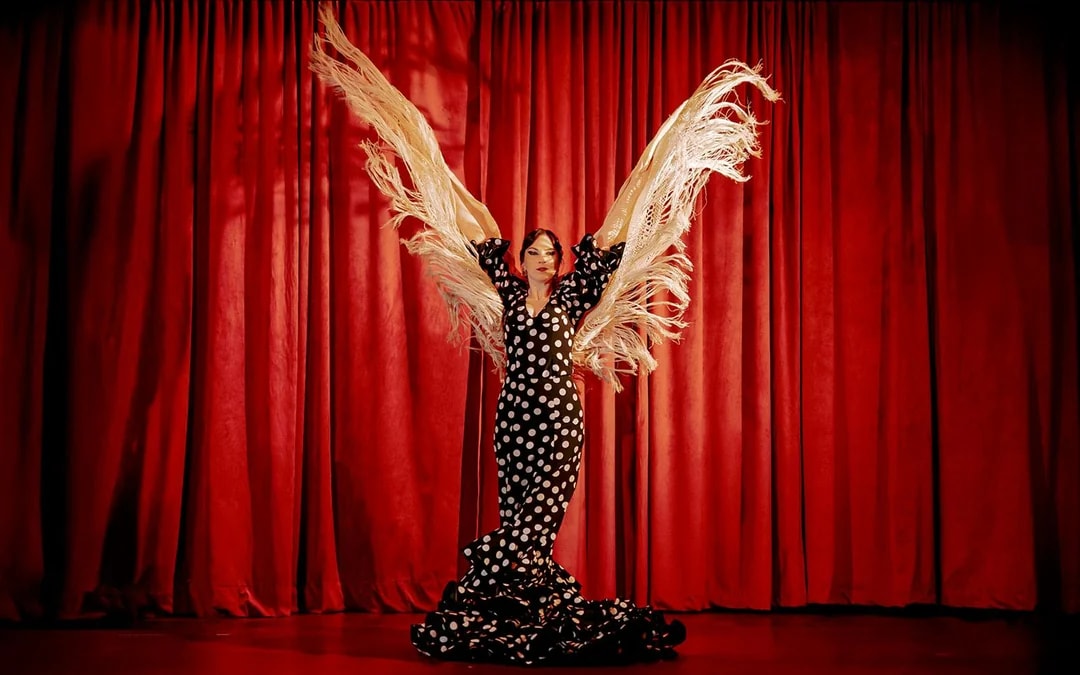 Laietana - Flamenco Show Image 1