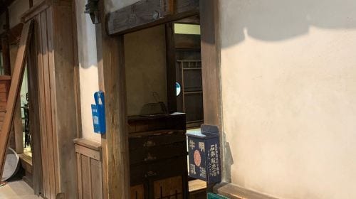 Lake Biwa Museum (Shiga)