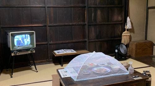 Lake Biwa Museum (Shiga)
