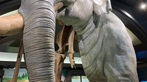 Lake Biwa Museum (Shiga)