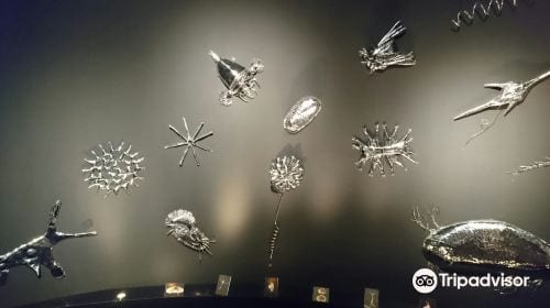 Lake Biwa Museum (Shiga)
