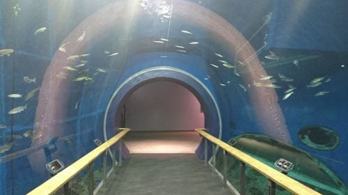 Lake Biwa Museum (Shiga)