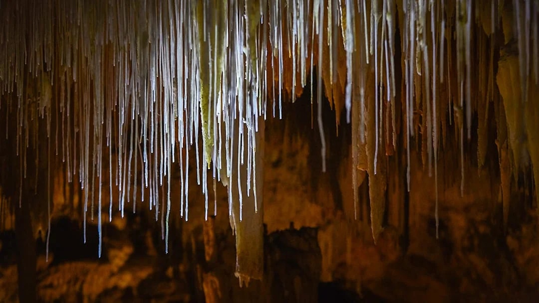 Thin straw stalactites in Lake Cave, Margaret River.