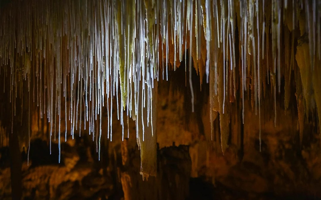 Margaret River: Lake Cave Guided Tour Image 2