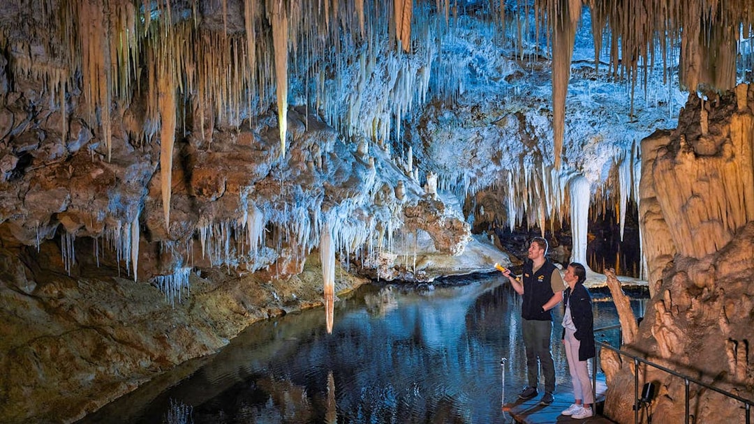 Guide points flashlight at stalactites in Lake Cave, Margaret River.