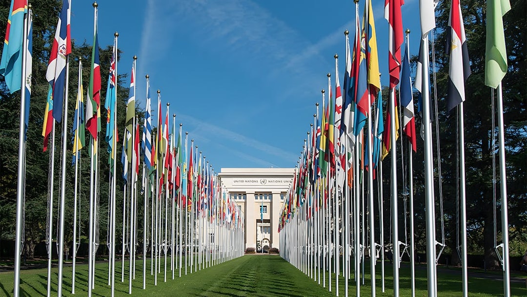 Flags lining the entrance to the United Nations Office at Geneva.