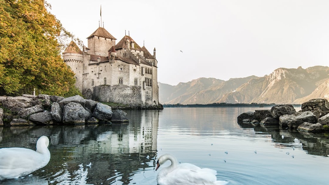 Chillon Castle on Lake Geneva with swans in the foreground.