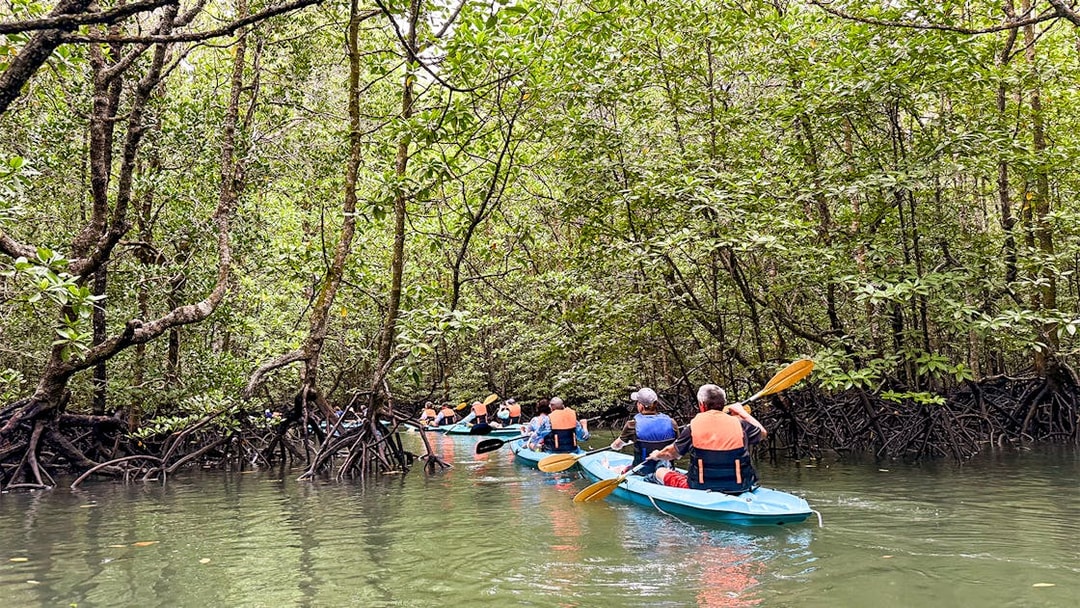 Kayakers navigating mangrove forest in Kilim Geoforest Park on a rainy day.