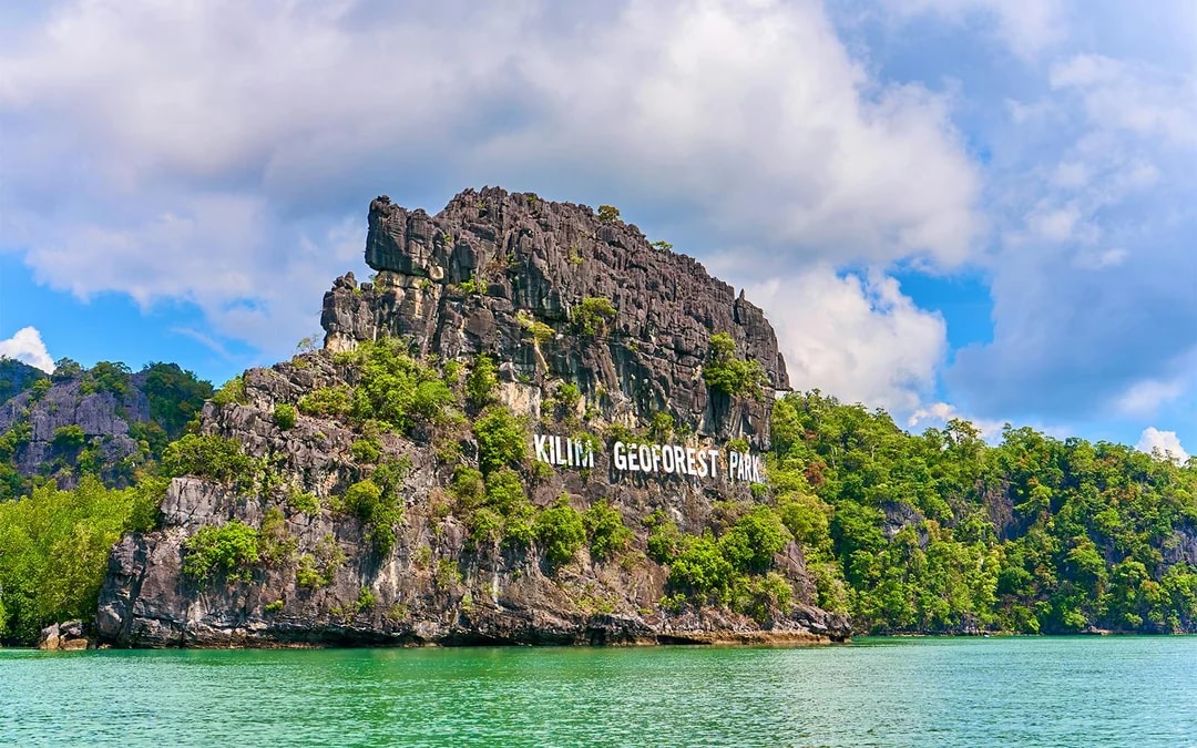 Langkawi Mangrove Kayak Tour Image 5