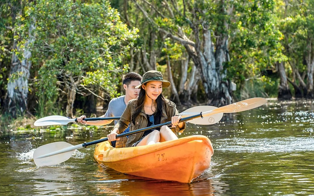 Langkawi Mangrove Kayak Tour Image 1
