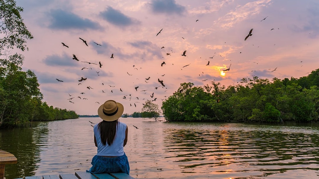 Woman observing eagles at sunset during a mangrove tour.