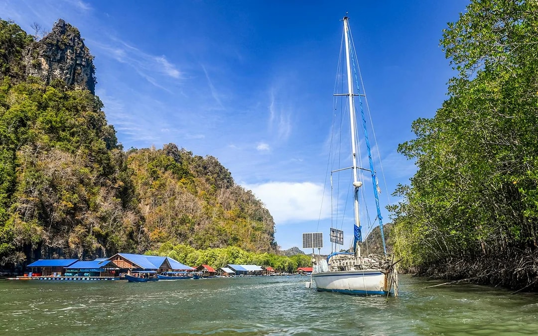 Langkawi Mangrove Tour Image 8