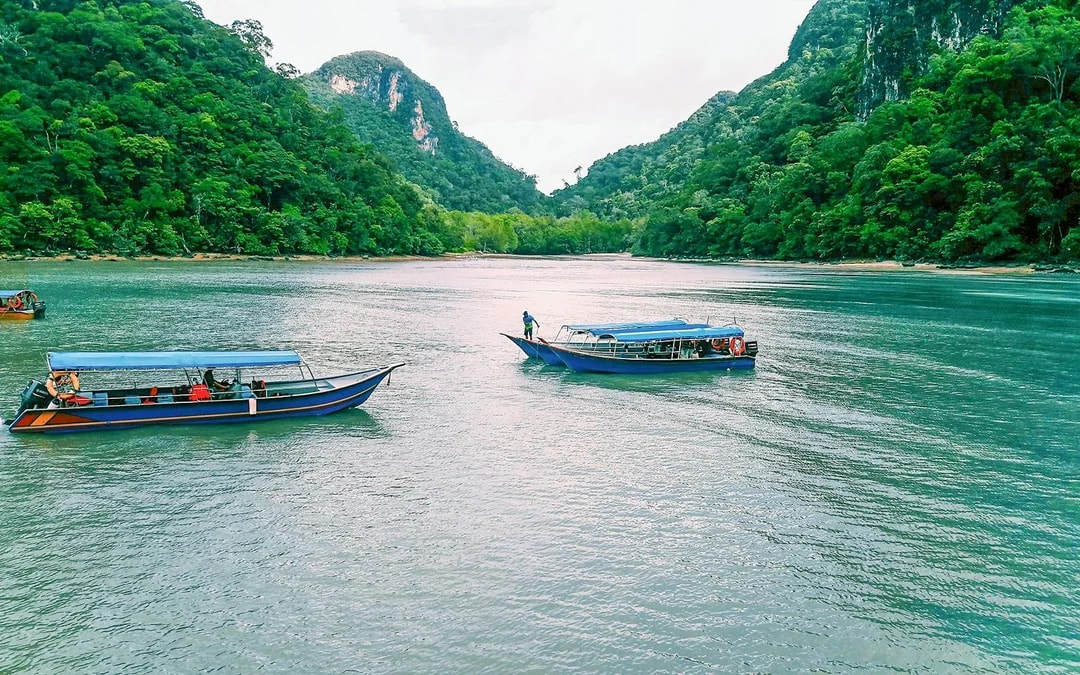 Langkawi Mangrove Tour Image 1