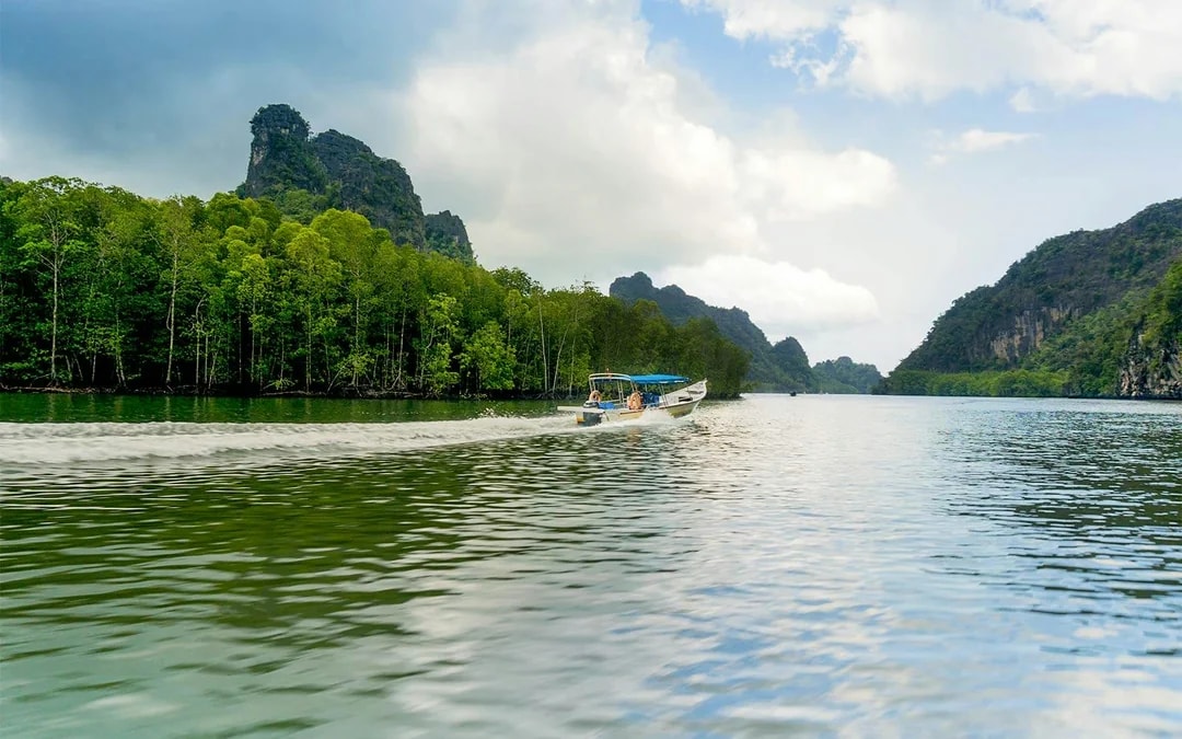 Langkawi Mangrove Tour Image 4