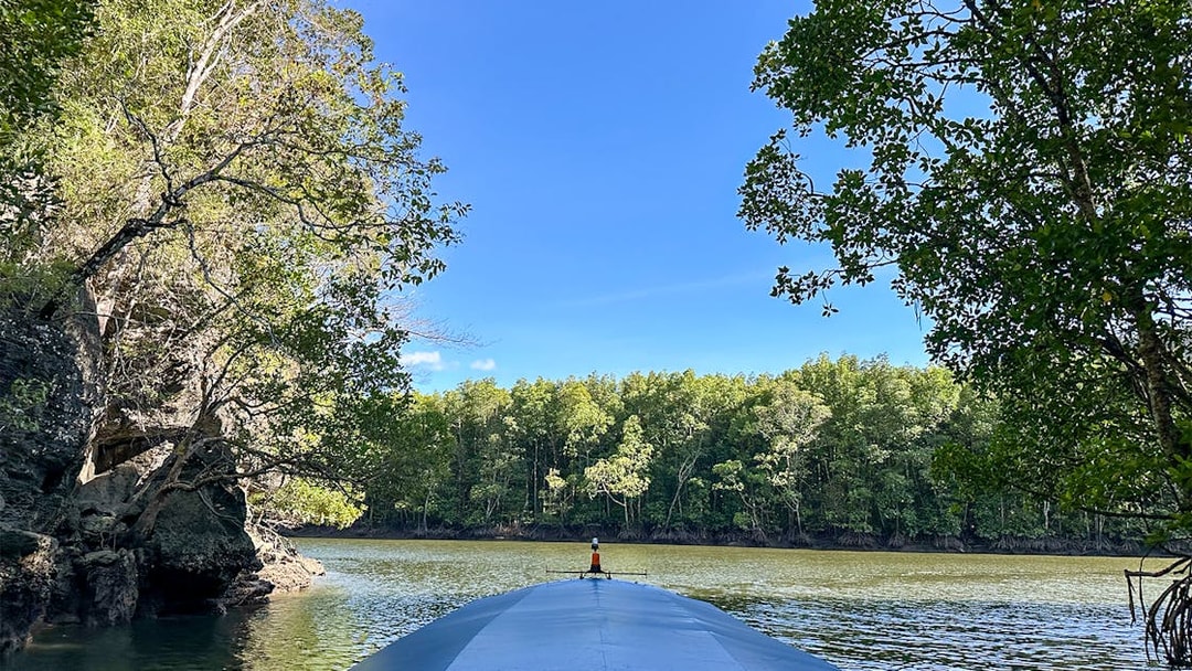Boat navigating mangrove river in Langkawi tour.