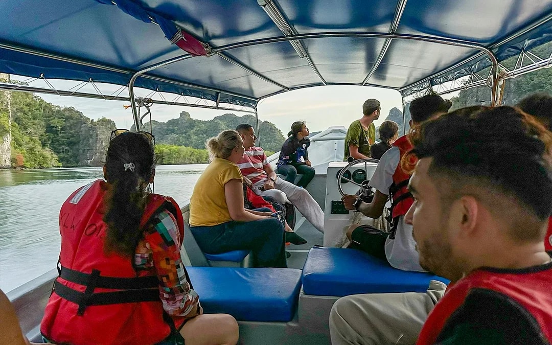 Langkawi Night Mangrove Tour Image 6