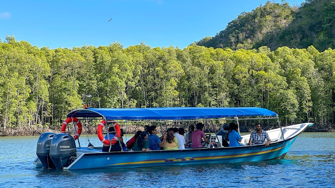 Tour boat with passengers cruising through mangrove forest river on Langkawi tour.