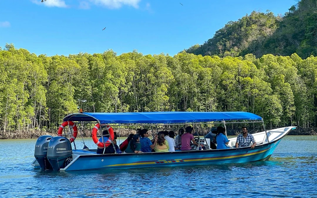 Langkawi Night Mangrove Tour Image 9