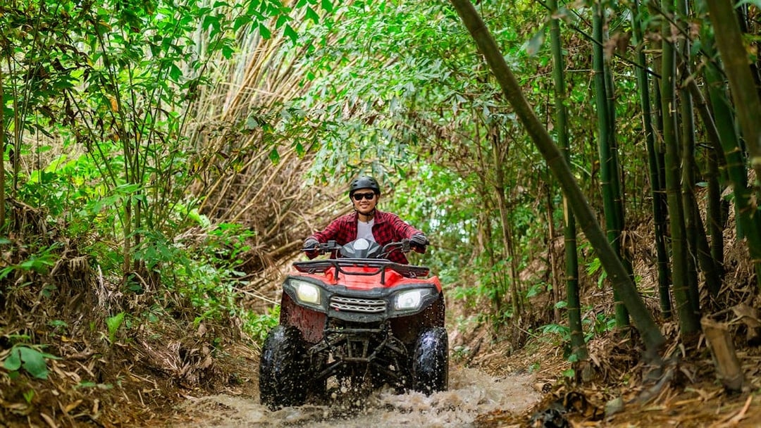 ATV rider navigating a muddy trail through dense bamboo forest.