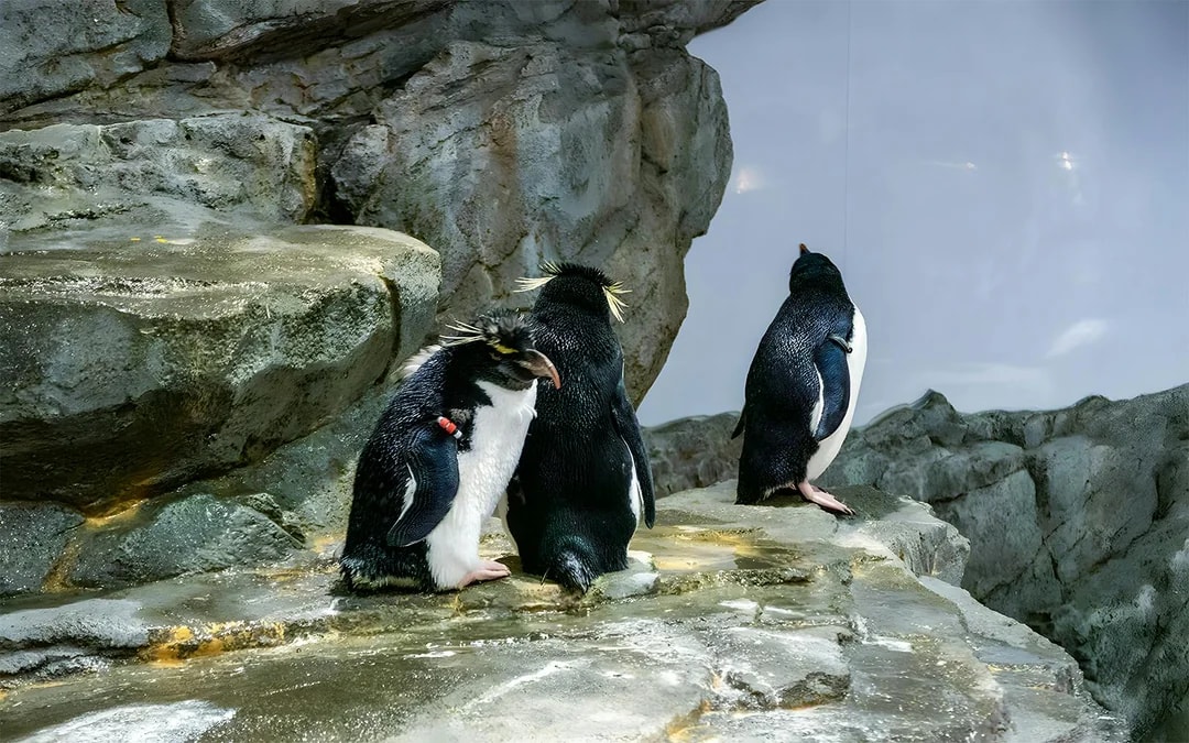 Langkawi Underwater World Tickets Image 7