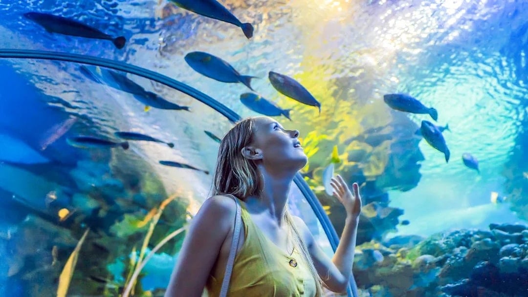 Langkawi Underwater World Tickets