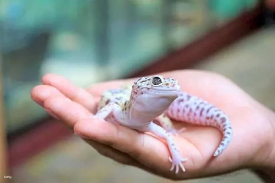 Langkawi Wildlife Park Ticket | Malaysia