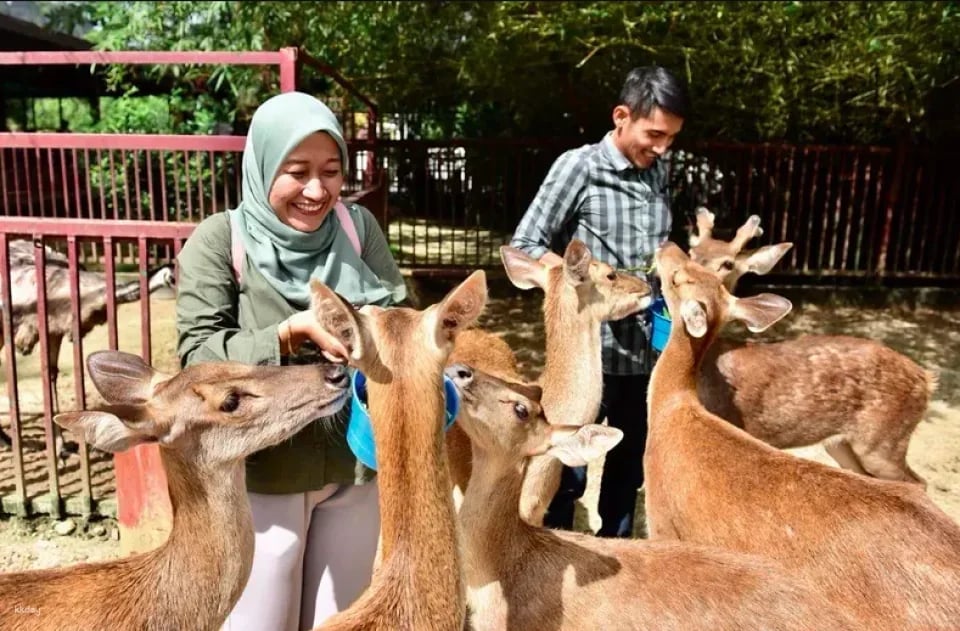 Langkawi Wildlife Park Ticket | Malaysia