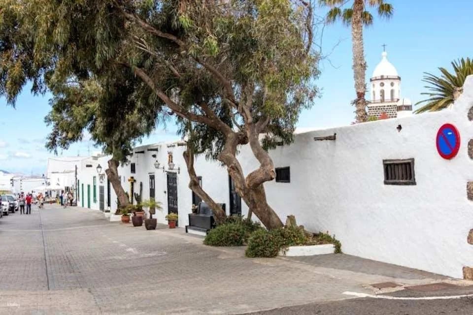 Lanzarote three-wheel Ryker bike south tour – ticket only