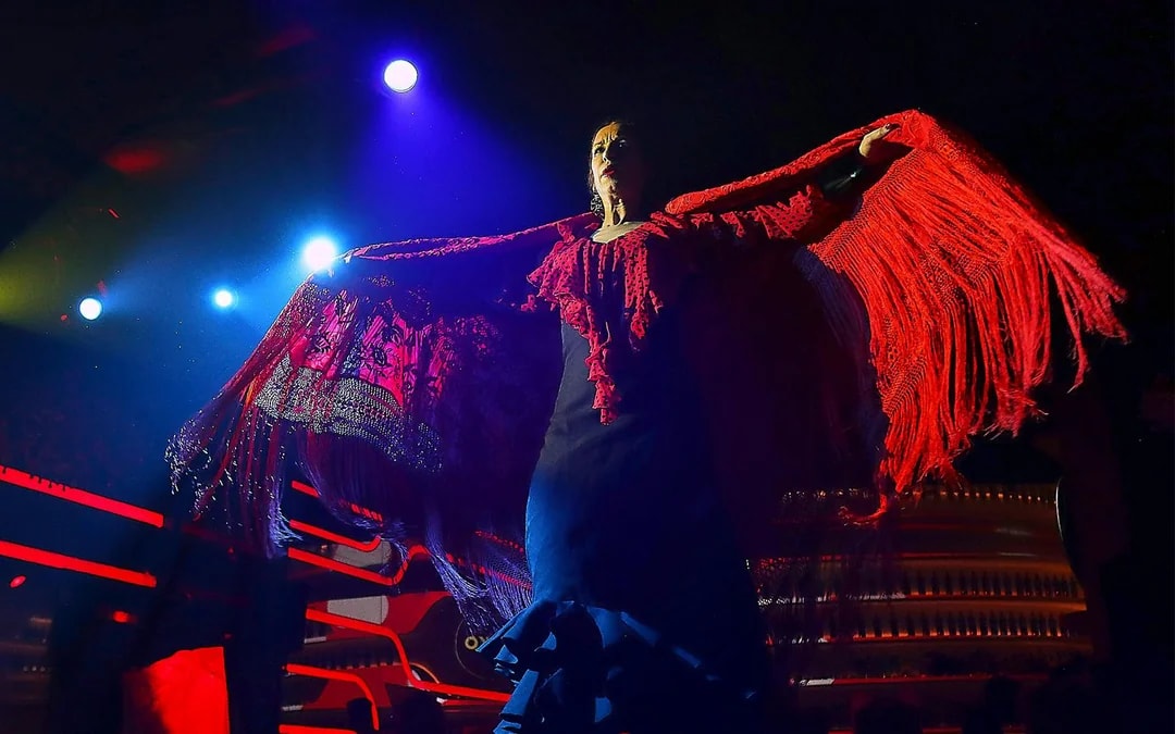 Las Setas - Flamenco Show Image 1
