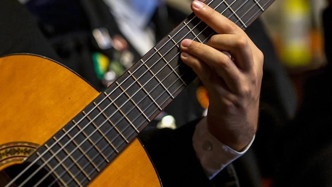 Guitarist playing during a Flamenco show with premium sherry cocktails.