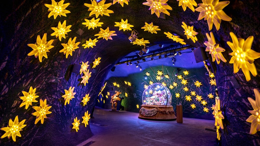Illuminated edelweiss flowers in the Alpine Sensation tunnel at Jungfraujoch, Switzerland.