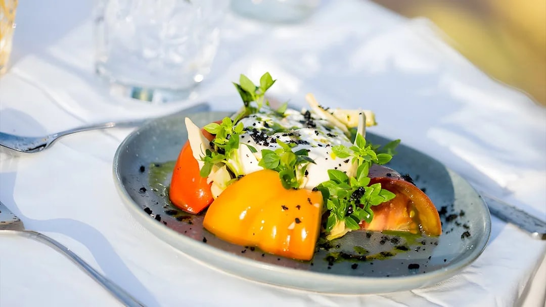 Gourmet salad with tomatoes and herbs served on Le Diamant Bleu Seine River cruise.