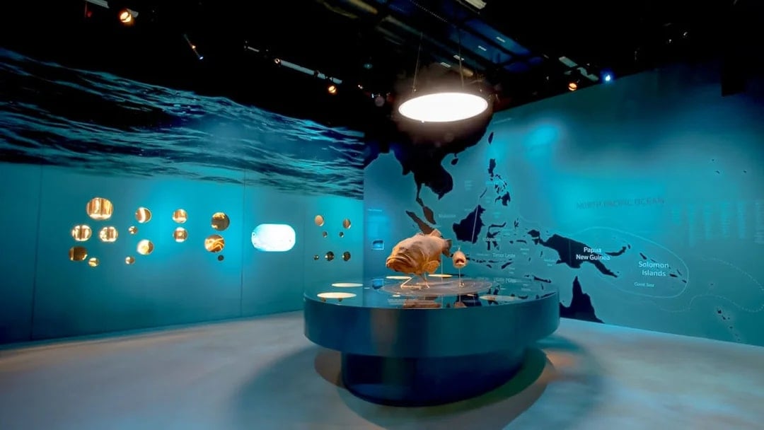 Lee Kong Chian Natural History Museum Tickets