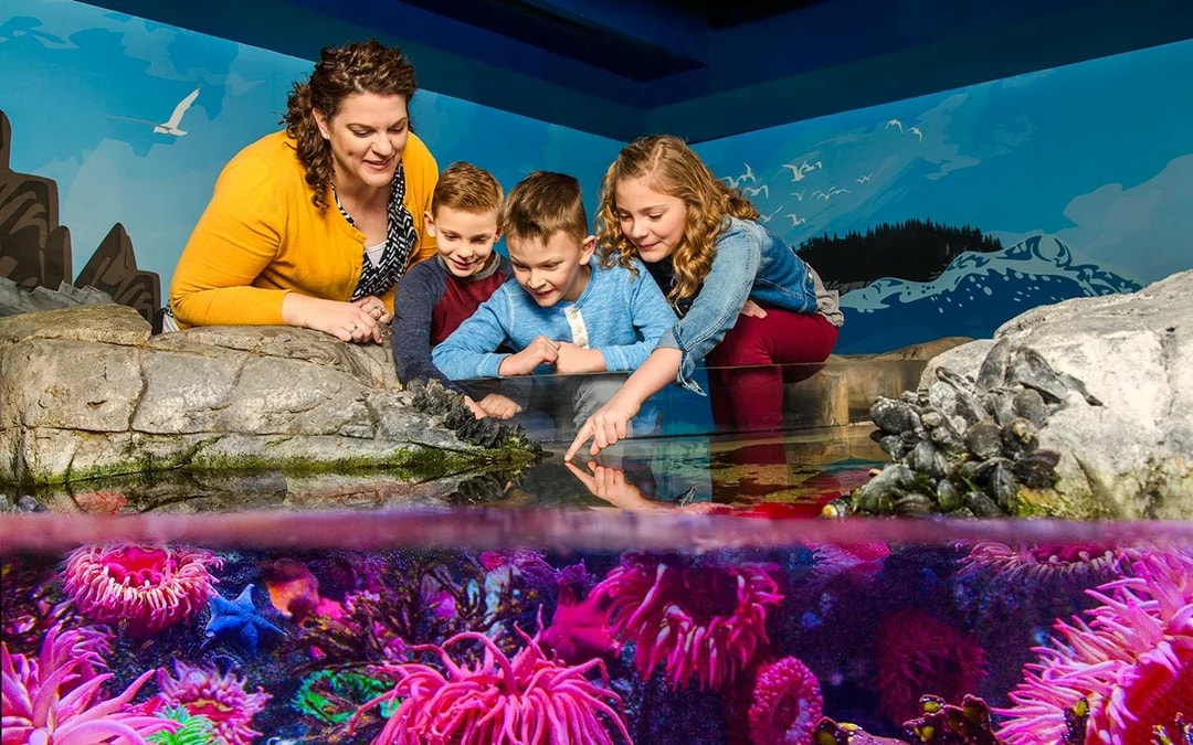 LEGOLAND® Florida 7-Park Pass Image 9