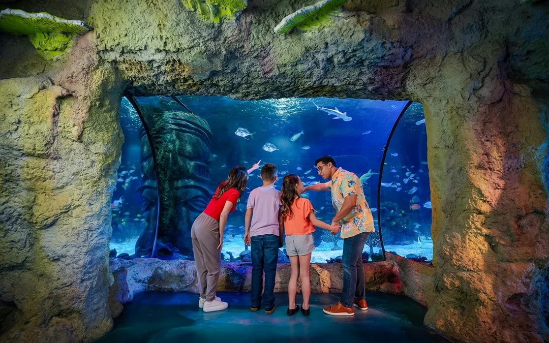 LEGOLAND® Florida 7-Park Pass Image 10