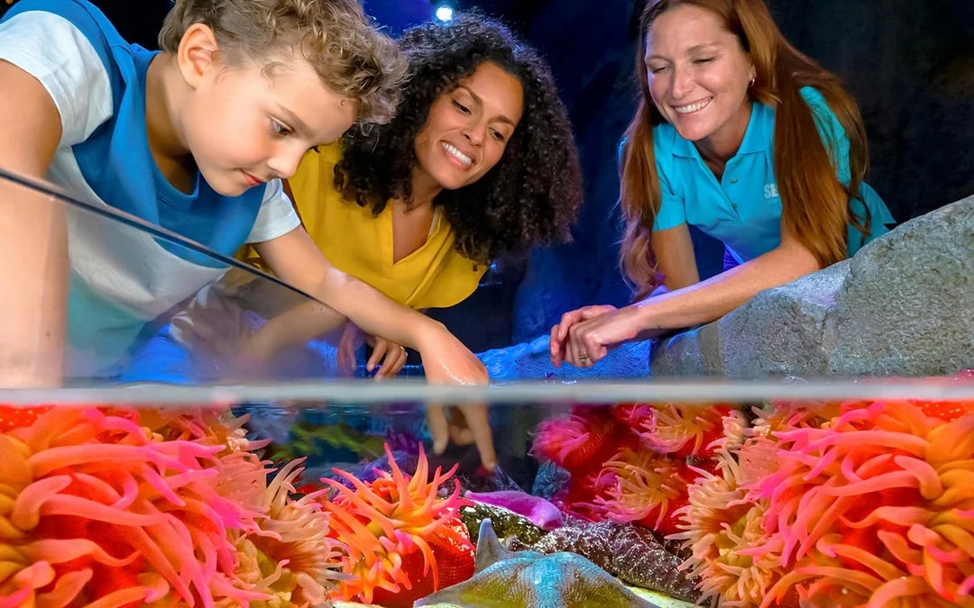 LEGOLAND® Florida 7-Park Pass Image 11