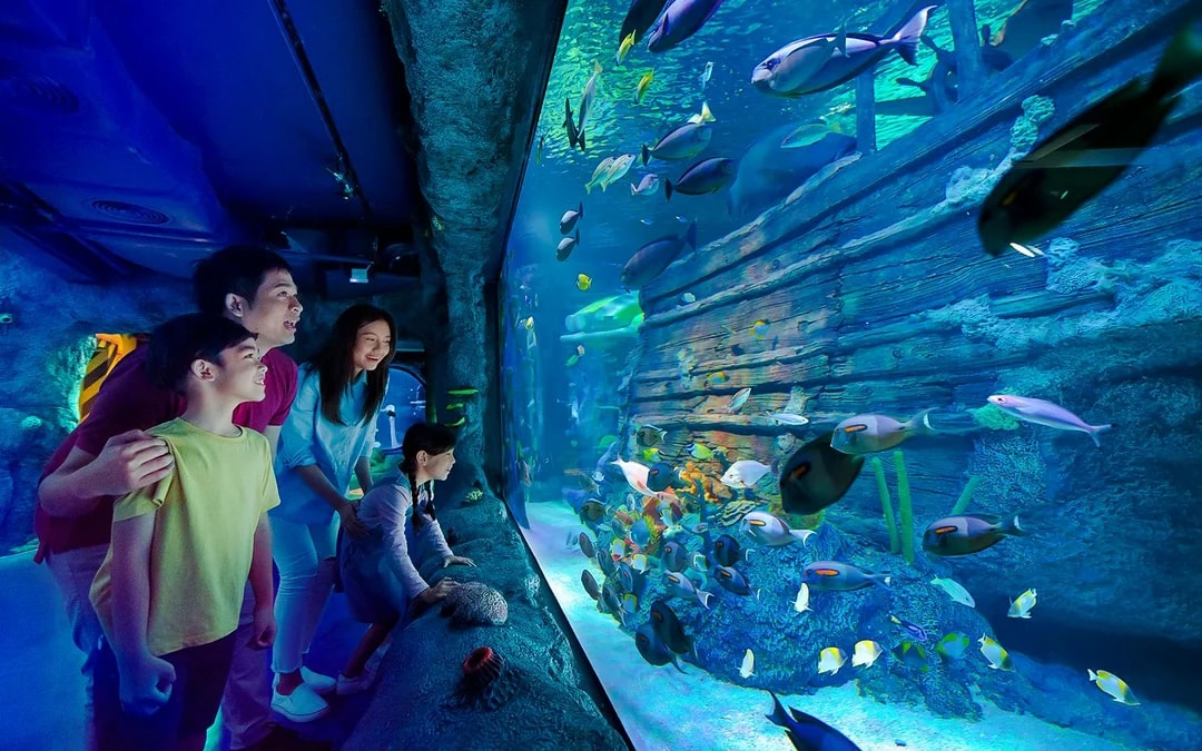 LEGOLAND® Malaysia 2 Day Passes Image 12